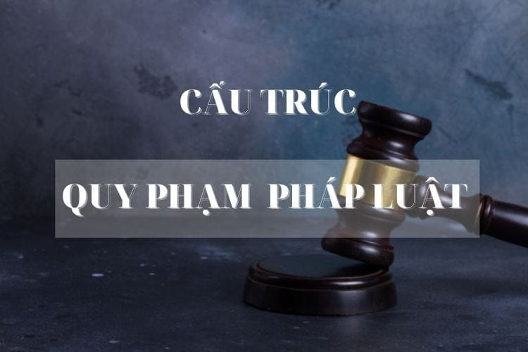 Cấu trúc của quy phạm pháp luật 2 cau truc cua quy pham phap luat