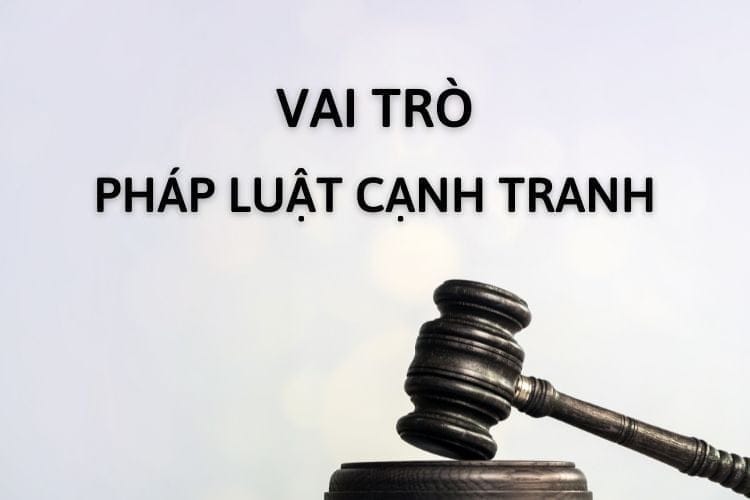 Các vai trò của pháp luật cạnh tranh 1 Các vai trò của pháp luật cạnh tranh