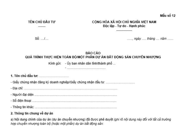 Mẫu báo cáo quá trình thực hiện dự án bất động sản 2 Mẫu báo cáo quá trình thực hiện dự án bất động sản
