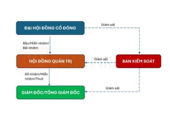 Cơ cấu tổ chức quản lý công ty cổ phần mới nhất 2026 1 Cơ cấu tổ chức quản lý công ty cổ phần