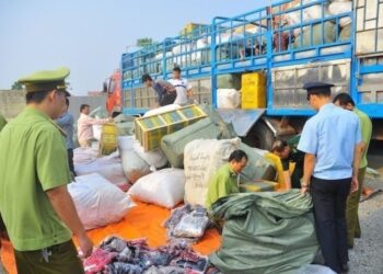 Tội vận chuyển trái phép hàng hóa, tiền tệ qua biên giới 1 Tội vận chuyển trái phép hàng hóa, tiền tệ qua biên giới