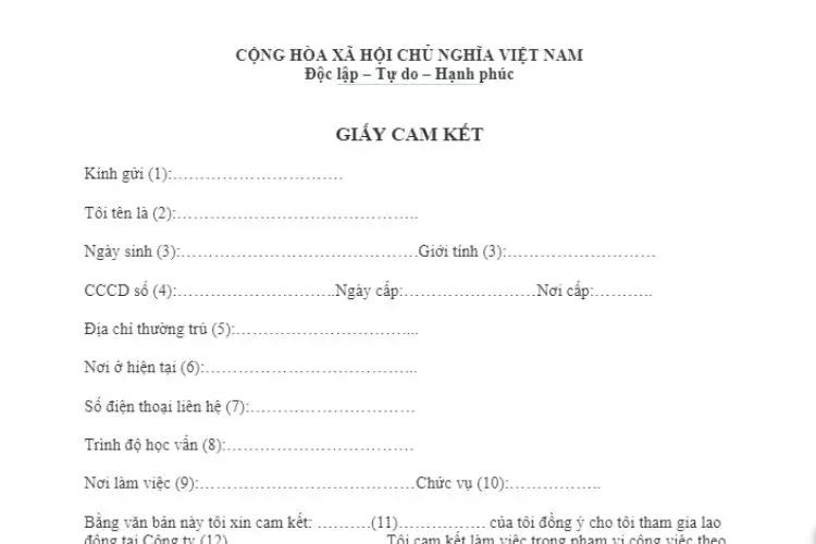 Mẫu đơn cam kết được đi làm cho người dưới 18 tuổi 2 Mẫu đơn cam kết được đi làm cho người dưới 18 tuổi