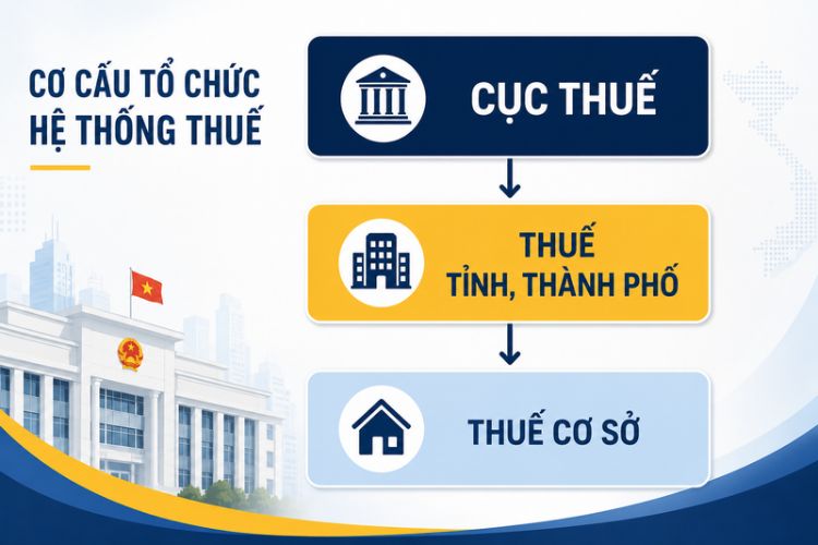 Cục thuế là gì? Cơ cấu tổ chức của Cục thuế 2 Cục thuế là gì? Cơ cấu tổ chức của Cục thuế