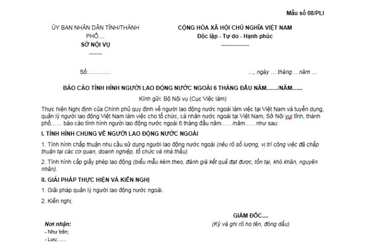 Báo cáo tình hình người lao động nước ngoài (Mẫu số 08/PLI) 2 Báo cáo tình hình người lao động nước ngoài (Mẫu số 08/PLI)