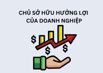 Chủ sở hữu hưởng lợi của doanh nghiệp là gì? 1 Chủ sở hữu hưởng lợi của doanh nghiệp là gì?