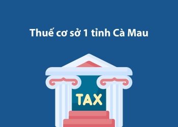 Thuế cơ sở 1 tỉnh Cà Mau: Thông tin liên hệ 1 Thuế cơ sở 1 tỉnh Cà Mau: Thông tin liên hệ