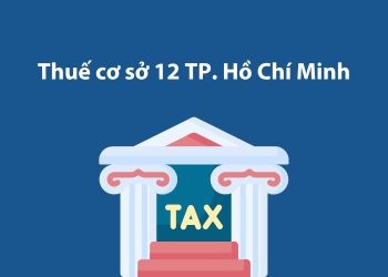 Thuế cơ sở 12 Thành phố Hồ Chí Minh: Thông tin liên hệ 1 Thuế cơ sở 12 Thành phố Hồ Chí Minh: Thông tin liên hệ