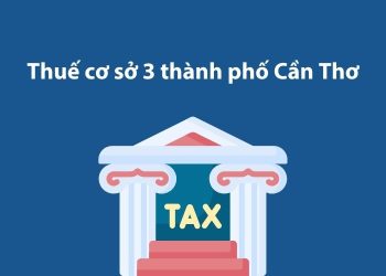 Thuế cơ sở 3 thành phố Cần Thơ: Thông tin liên hệ 1 Thuế cơ sở 3 thành phố Cần Thơ: Thông tin liên hệ