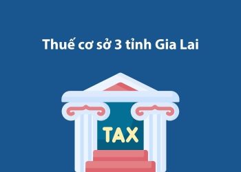 Thuế cơ sở 3 tỉnh Gia Lai: Thông tin liên hệ 1 Thuế cơ sở 3 tỉnh Gia Lai: Thông tin liên hệ