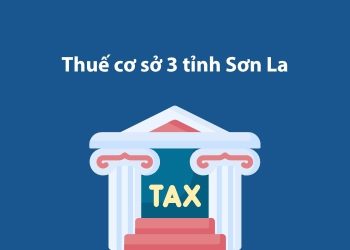 Thuế cơ sở 3 tỉnh Sơn La: Thông tin liên hệ 1 Thuế cơ sở 3 tỉnh Sơn La: Thông tin liên hệ