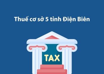 Thuế cơ sở 5 tỉnh Điện Biên: Thông tin liên hệ 1 Thuế cơ sở 5 tỉnh Điện Biên: Thông tin liên hệ