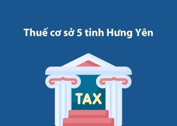 Thuế cơ sở 5 tỉnh Hưng Yên: Thông tin liên hệ 1 Thuế cơ sở 5 tỉnh Hưng Yên: Thông tin liên hệ