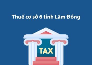 Thuế cơ sở 6 tỉnh Lâm Đồng: Thông tin liên hệ 1 Thuế cơ sở 6 tỉnh Lâm Đồng: Thông tin liên hệ