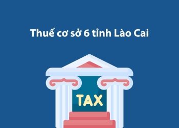 Thuế cơ sở 6 tỉnh Lào Cai: Thông tin liên hệ 1 Thuế cơ sở 6 tỉnh Lào Cai: Thông tin liên hệ