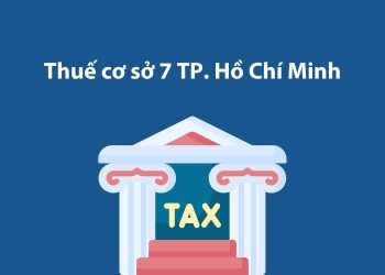 Thuế cơ sở 7 Thành phố Hồ Chí Minh: Thông tin liên hệ 1 Thuế cơ sở 7 Thành phố Hồ Chí Minh: Thông tin liên hệ