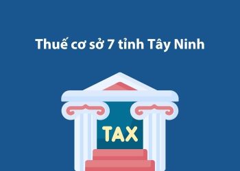 Thuế cơ sở 7 tỉnh Tây Ninh: Thông tin liên hệ 1 Thuế cơ sở 7 tỉnh Tây Ninh: Thông tin liên hệ