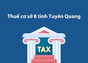 Thuế cơ sở 8 tỉnh Tuyên Quang: Thông tin liên hệ 1 Thuế cơ sở 8 tỉnh Tuyên Quang: Thông tin liên hệ