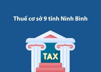 Thuế cơ sở 9 tỉnh Ninh Bình: Thông tin liên hệ 1 Thuế cơ sở 9 tỉnh Ninh Bình: Thông tin liên hệ
