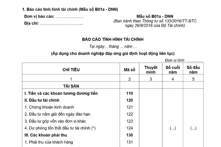 Báo cáo tình hình tài chính (Mẫu số B01a - DNN) theo Thông tư 133
