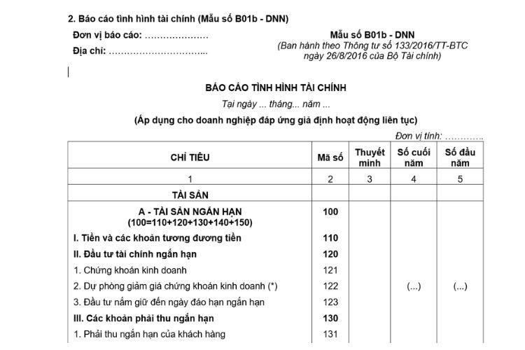 Báo cáo tình hình tài chính (Mẫu số B01b - DNN) theo Thông tư 133