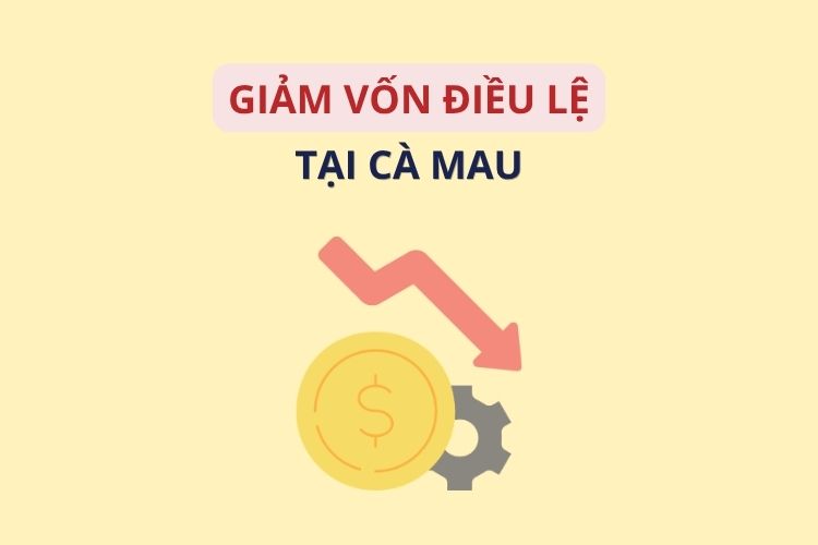 Giảm vốn điều lệ công ty tại Cà Mau: Hướng dẫn chi tiết mới nhất 2026 2 Giảm vốn điều lệ công ty tại Cà Mau: Hướng dẫn chi tiết mới nhất 2026