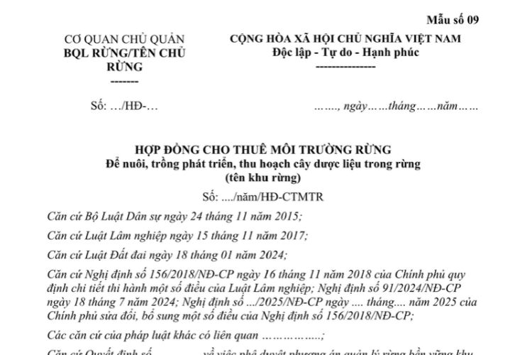 Mẫu Hợp đồng cho thuê môi trường rừng (để nuôi, trồng phát triển, thu hoạch cây dược liệu trong rừng)