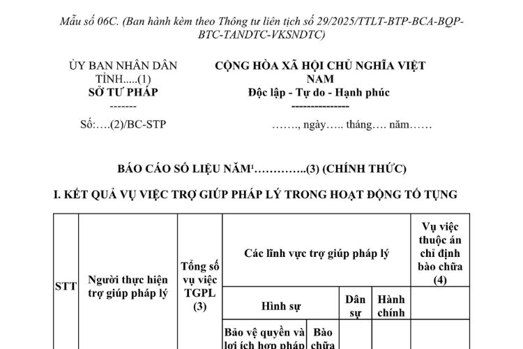 Mẫu Báo cáo số liệu đối với vụ việc trợ giúp pháp lý trong hoạt động tố tụng (chính thức)
