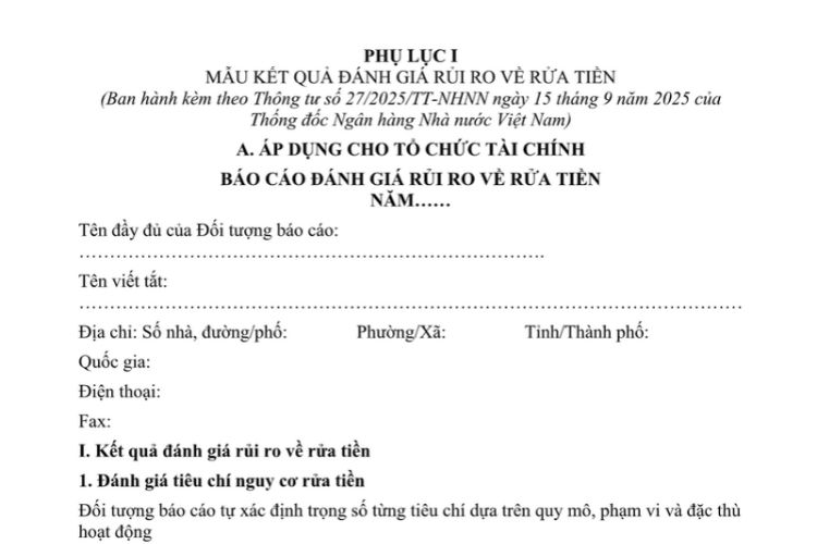 Mẫu Kết quả đánh giá rủi ro về rửa tiền (áp dụng cho tổ chức tài chính)