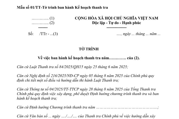 Mẫu Tờ trình ban hành kế hoạch thanh tra do thanh tra Chính phủ ban hành