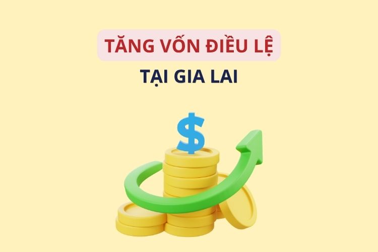 Tăng vốn điều lệ công ty tại Gia Lai: Hướng dẫn quy trình và thủ tục mới nhất 2026 2 Tăng vốn điều lệ công ty tại Gia Lai: Hướng dẫn quy trình và thủ tục mới nhất 2026
