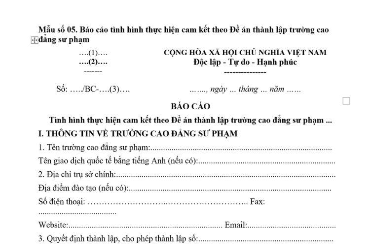 Báo cáo tình hình thực hiện cam kết theo đề án thành lập hoặc cho phép thành lập trường