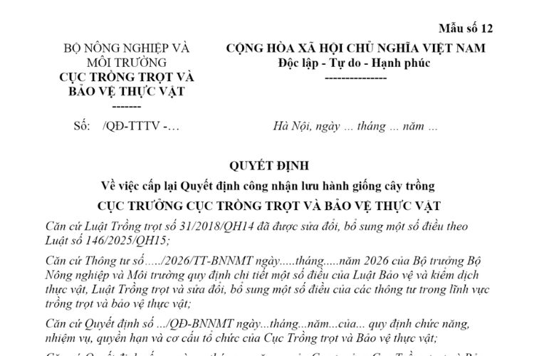 Mẫu Quyết định về việc cấp lại Quyết định công nhận lưu hành giống cây trồng