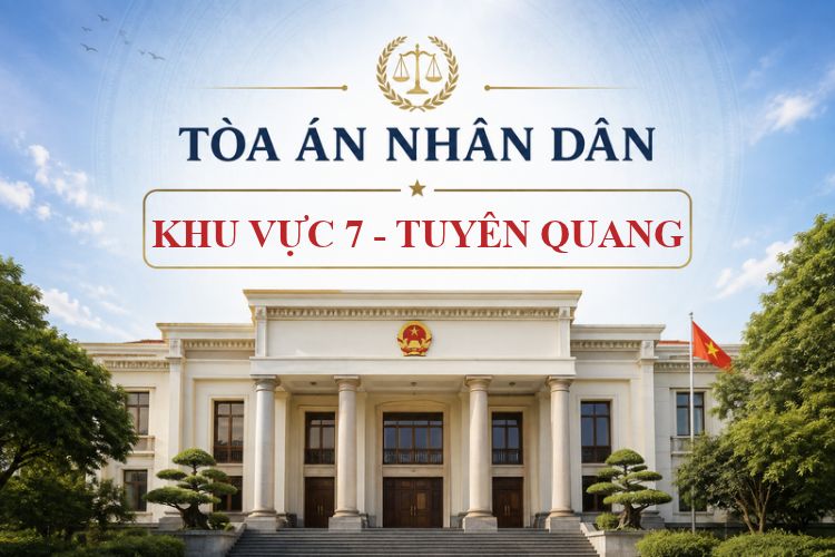 Tòa án nhân dân khu vực 7 - Tuyên Quang: Thông tin liên hệ 1 Tòa án nhân dân khu vực 7 - Tuyên Quang: Thông tin liên hệ